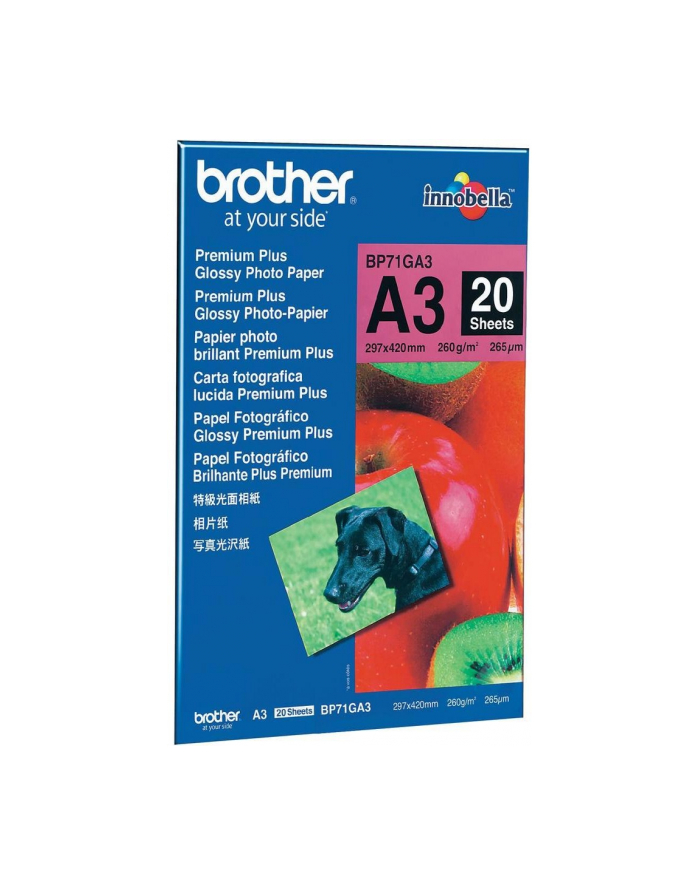 Papier Brother A3 Glossy 260g/m2,20 ark. główny