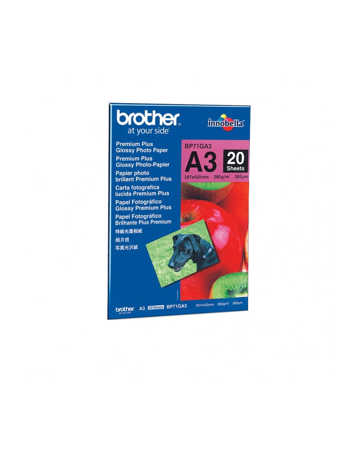 Papier Brother A3 Glossy 260g/m2,20 ark. główny