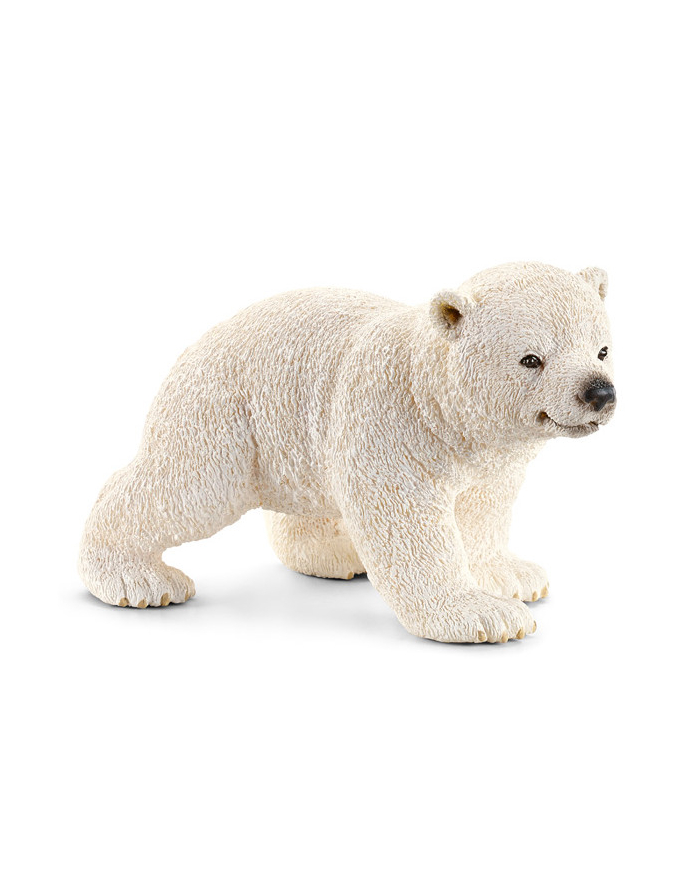 SCHLEICH Młody Miś Polarny główny