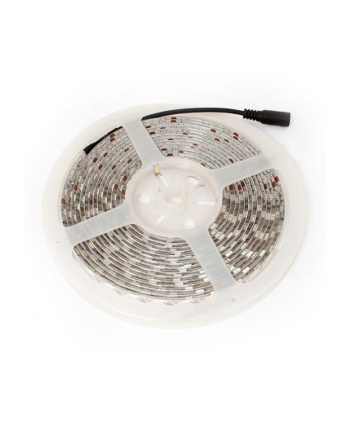 TAŚMA ABILITE LED-5050 IP65 300LEDS B.ZIMNY 5m/10mm/12V/72W BIAŁE PODŁOŻE/ SILIKON /