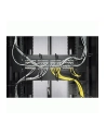APC Cable Management Rings - nr 3