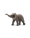 ANIMAL P. Słoniątko afrykańskie - nr 3