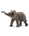 ANIMAL P. Słoniątko afrykańskie - nr 4