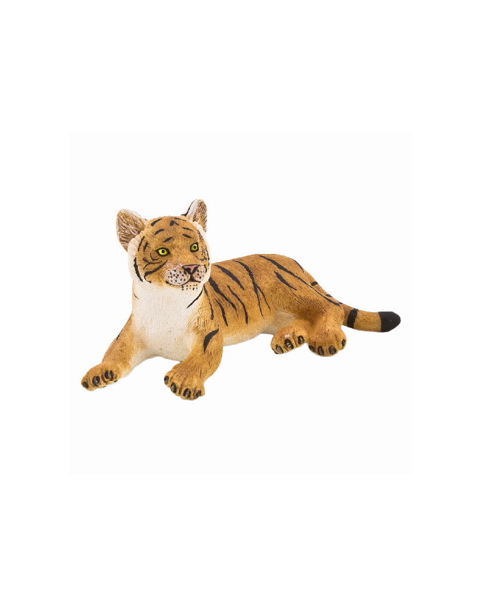 ANIMAL P. Tygrysiątko leżące główny