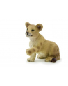 ANIMAL P. Lwiątko siedzące - nr 4