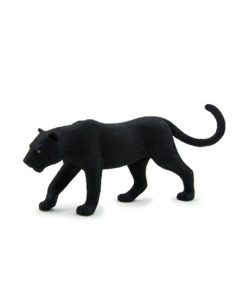 ANIMAL P. Czarna pantera