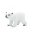 ANIMAL P. Młody niedźwiedź polarny - nr 1