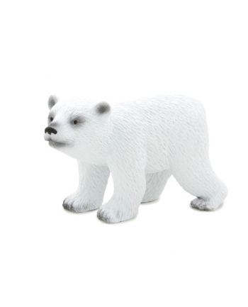 ANIMAL P. Młody niedźwiedź polarny