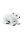 ANIMAL P. Młody niedźwiedź polarny - nr 1