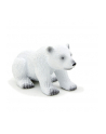 ANIMAL P. Młody niedźwiedź polarny - nr 2