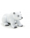 ANIMAL P. Młody niedźwiedź polarny - nr 4