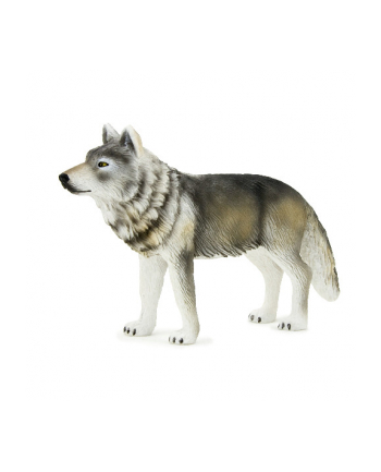 ANIMAL P. Wilk szary stojący