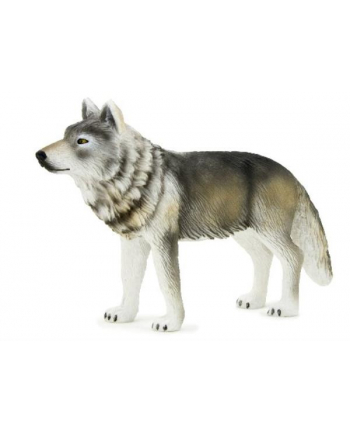 ANIMAL P. Wilk szary stojący