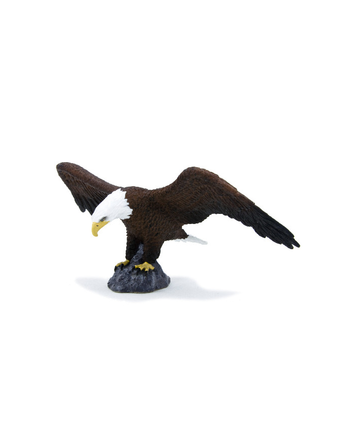 ANIMAL P. Bielik amerykański główny