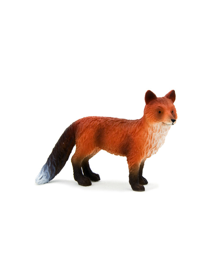 ANIMAL P. Lis rudy główny