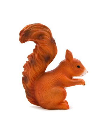 ANIMAL P. Wiewiórka stojąca