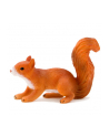 ANIMAL P. Wiewiórka biegnąca - nr 2