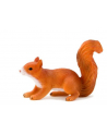 ANIMAL P. Wiewiórka biegnąca - nr 4