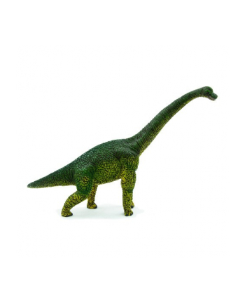 ANIMAL P. Brachiozaur