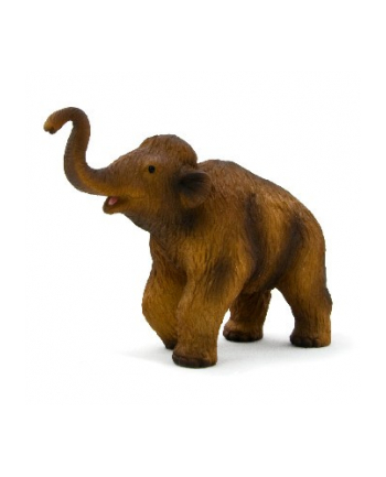 ANIMAL P. Mamuciątko włochate