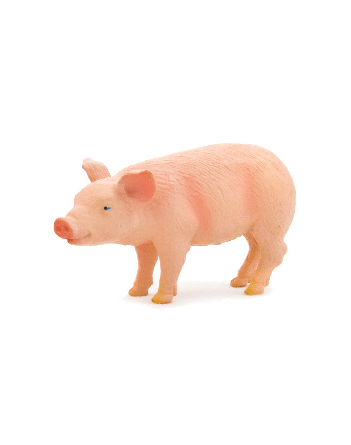 ANIMAL P. Prosię główny