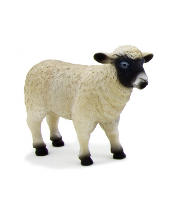 ANIMAL P. Owca czarnogłówka