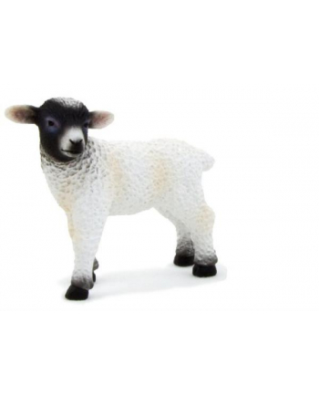 ANIMAL P. Owieczka czarnogłówka stojąca