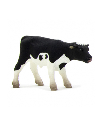ANIMAL P. Cielę rasy holsztyńskiej