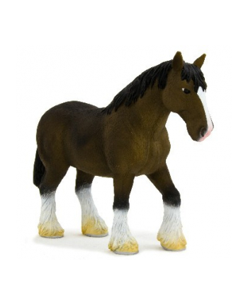ANIMAL P. Brązowy koń rasy Clydesdale