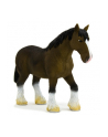 ANIMAL P. Brązowy koń rasy Clydesdale - nr 2