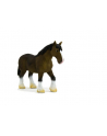 ANIMAL P. Brązowy koń rasy Clydesdale - nr 3