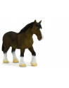 ANIMAL P. Brązowy koń rasy Clydesdale - nr 4