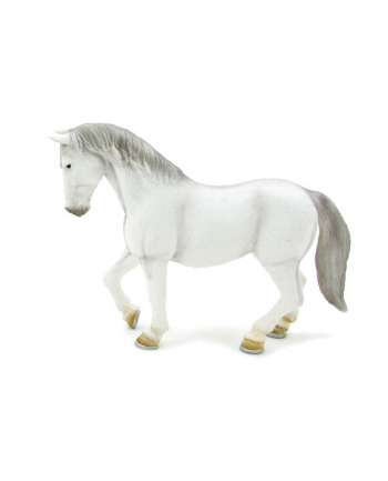 ANIMAL P. Klacz lipicańska