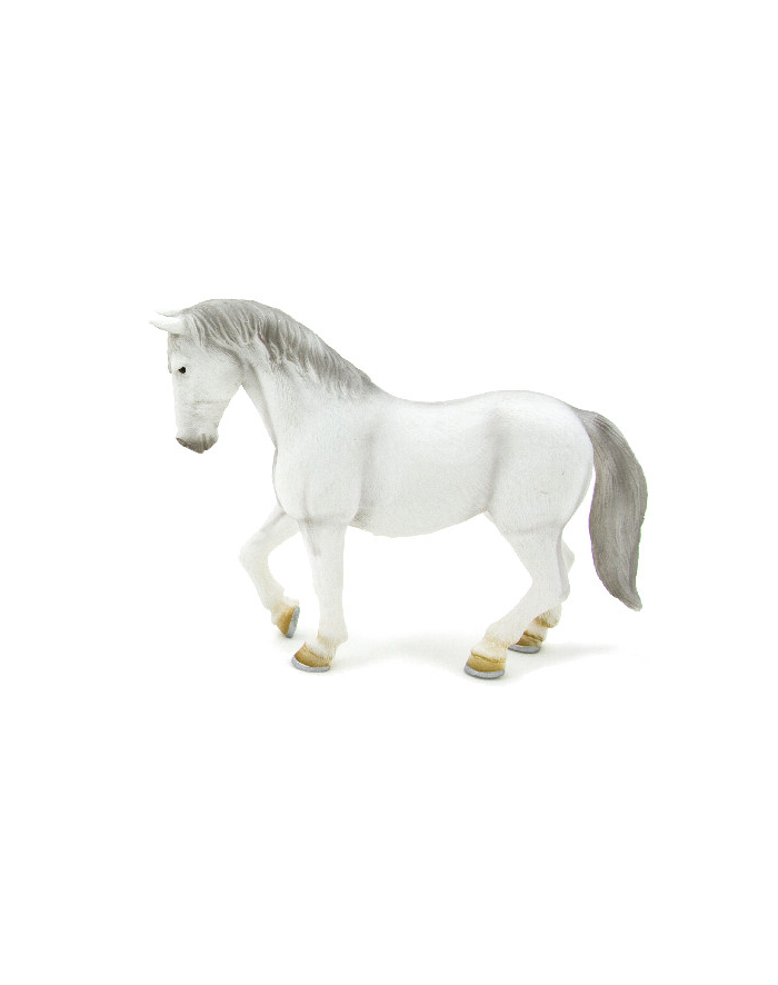 ANIMAL P. Klacz lipicańska główny