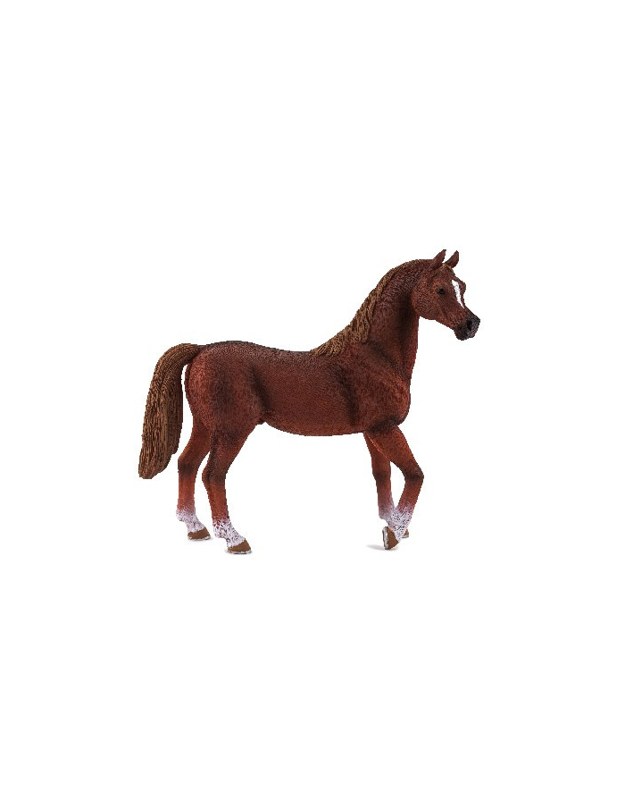 ANIMAL P. Czarnobiały koń główny