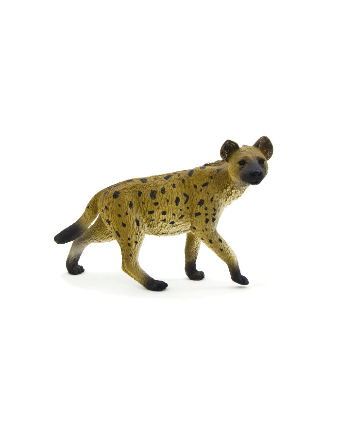 ANIMAL P. Hiena główny