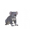 ANIMAL P. Miś koala - nr 3
