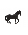 ANIMAL P. Czarny ogier andaluzyjski - nr 3