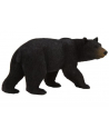 ANIMAL P. Niedźwiedź czarny - nr 4