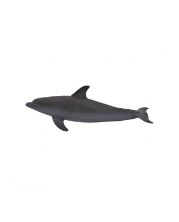ANIMAL P. Delfin butlonosy