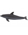 ANIMAL P. Delfin butlonosy - nr 4