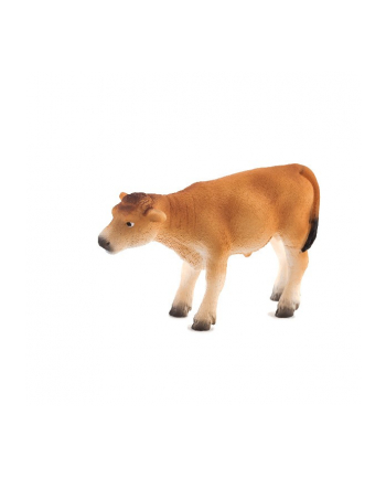 ANIMAL P. Cielę rasy Jersey stojące