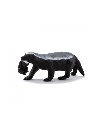 ANIMAL P. Miodożer z młodym