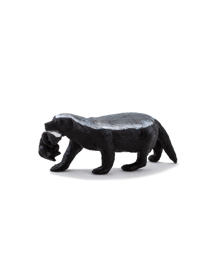 ANIMAL P. Miodożer z młodym główny