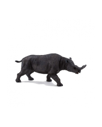 ANIMAL P. Brontotherium