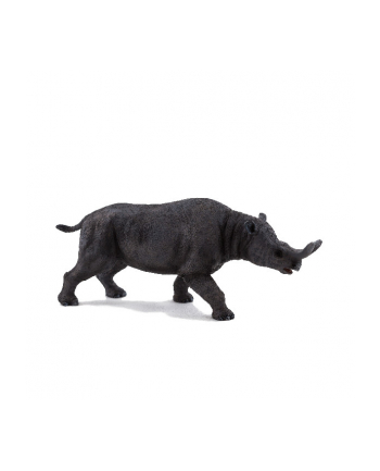 ANIMAL P. Brontotherium