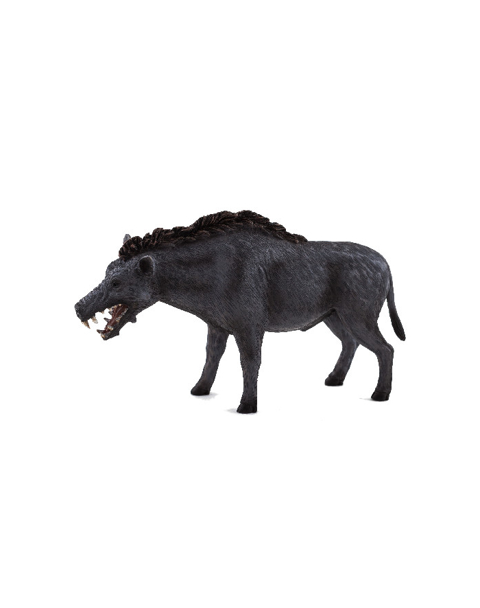 ANIMAL P. Entelodont Daeodon główny