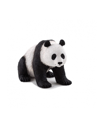 ANIMAL P. Panda wielka