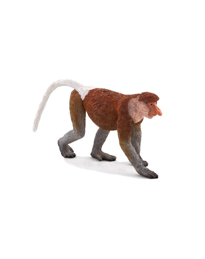 ANIMAL P. Nosacz główny