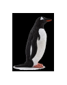 ANIMAL P. Pingwin białobrewy - nr 3